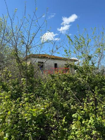 Rustico / Casale - Rif. 2482 - Foto 8