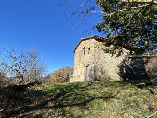 CASALE di 1 vani e di 113 mq (SORANO) rif. FIGO - Foto 15