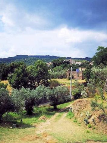 Villetta affittasi mesi estivi a Olivadi (Catanzaro) - Foto 9