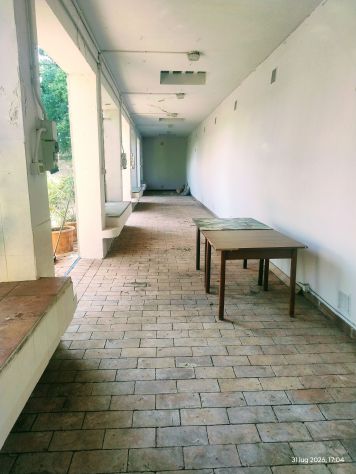 offro ampio locale piano terra ( ex limonaia) - Foto 2