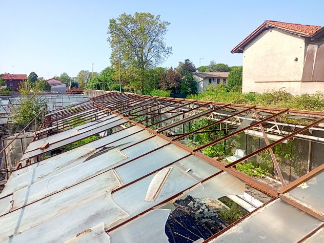 Azienda di floricoltura a Pozzuolo del Friuli - Foto 10
