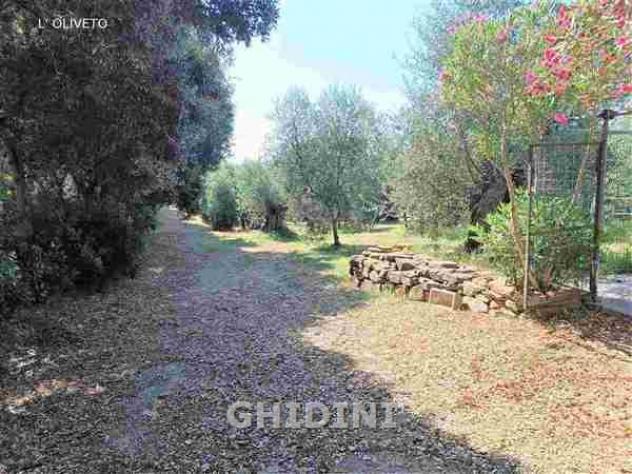 RUSTICO di 6 vani e di 146 mq (CASTIGLIONE DELLA PESCAIA - MACCHIASCANDONA) rif. 2389.3M - Foto 12