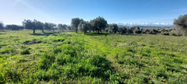 Immobile in asta di 6583 m² in vendita a Nereto - Foto 2