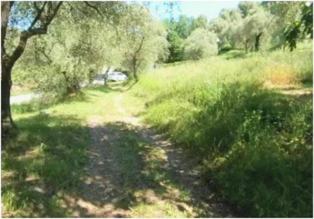 Immobile in asta di 2610 m² in vendita a Pietrabruna - Foto 4