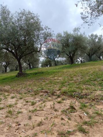 Terreno in vendita a Caltagirone, Santo Pietro - Foto 13