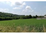 Immobile in asta di 4731 m² in vendita a Ceva