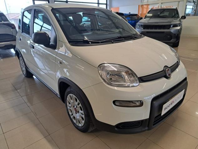 FIAT Panda III 2021 1.0 firefly hybrid s&s 70cv - Foto 3