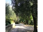 Cognanello di Giorgi Rosati Antonella