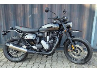 BSA Scrambler 650 2026