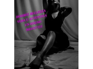 3388974739 SEDUCENTE MASSAGGIO TANTRICO GOLD INEBRIANTE TRASPORTO DIVINO