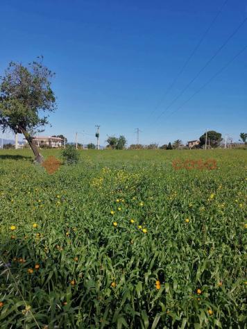 Terreno Agricolo - Reggio di Calabria . Rif.: Cod. rif 3312529VRG - Foto 7