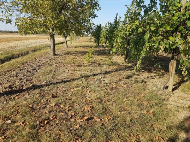 Immobile di 160 m² in vendita a Carpi - Foto 7