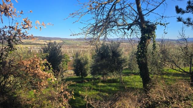 Casale in vendita a Castel Viscardo - Foto 20