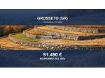 Immobile in asta di 126985 m² in vendita a Grosseto