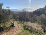 Terreno agricolo di 10.000 mq c,a