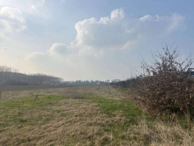 Immobile in asta di 10661 m² in vendita a San Possidonio - Foto 9