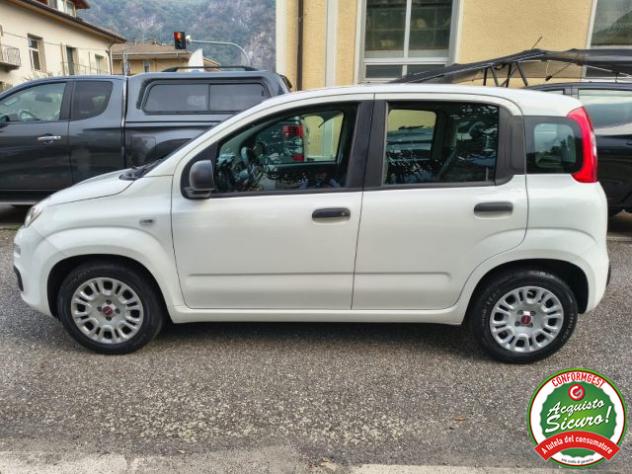 FIAT Panda 1.0 FireFly S&S Hybrid UN. PROP. rif. 24148189 - Foto 4