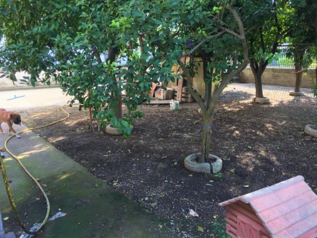 Villa in Via San Massimo - Foto 7
