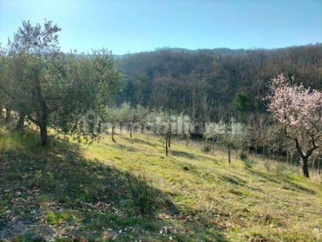 Magione vendesi terreno commerciale 11200 Mq - Foto 6