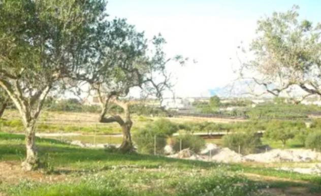 Immobile in asta di 4945 m² in vendita a Marsala - Foto 7