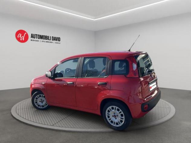 FIAT Panda 1.0 FireFly S&S Hybrid rif. 22041397 - Foto 3