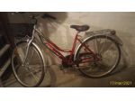 BICI DONNA