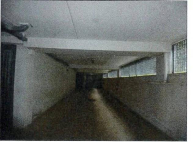 Immobile in asta di 480 m² in vendita a Castiglione della Pescaia - Foto 3
