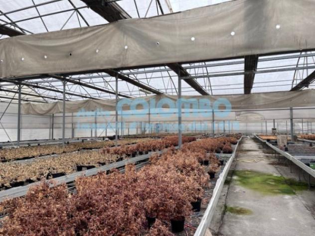 Immobile di 5000 m² in affitto a Brescia - Foto 10