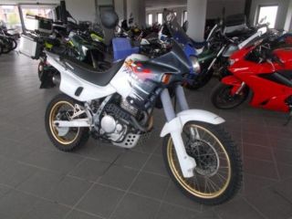 HONDA NX 650 Dominator . rif. 24040054