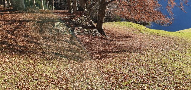 RUSTICO / CASALE - Foto 5