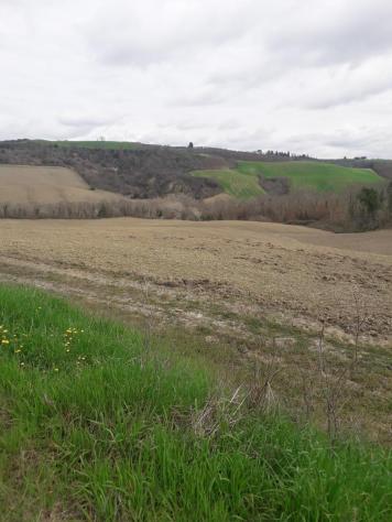 Terreno agricolo in vendita a Asciano 630000 mq Rif: 1083755 - Foto 5