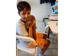 Cuccioli di Barboncino Red taglia puccola