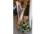 Arpa per Matrimoni o Eventi