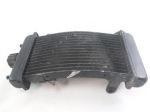 MALAGUTI PASSWORD 250 10805900 RADIATORE 05 - 06 RADIATOR