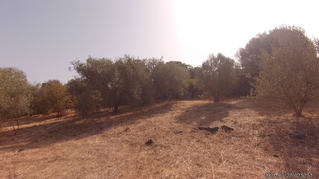 SARDEGNA - TERRENO EDIFICABILE CON PROGETTO APPROVATO (ANCHE COSTRUTTORI) - Foto 2