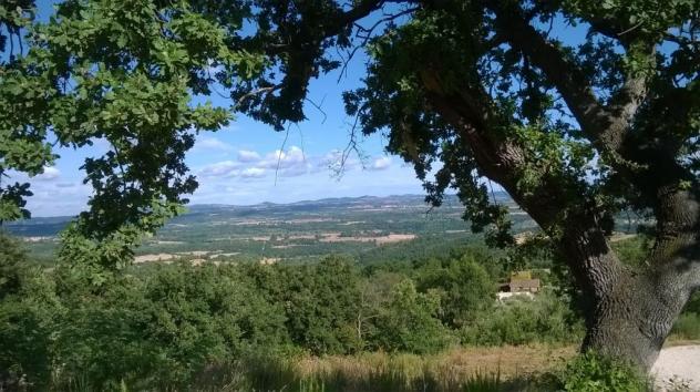RUSTICO di 4 vani e di 100 mq (MANCIANO) rif. VILLETTA S.MARTINO - Foto 7