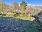 Terreno in vendita a Pedara