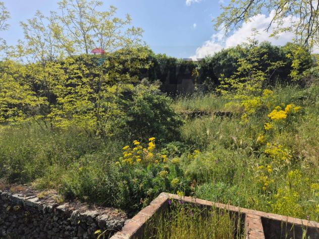 Terreno in vendita a Zafferana Etnea - Foto 2