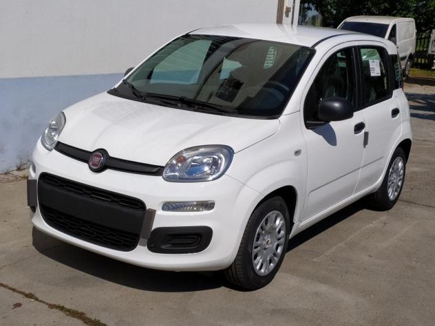FIAT Pandina 65 Pandina hybrid Icon Promo CBC 5 - Foto 8