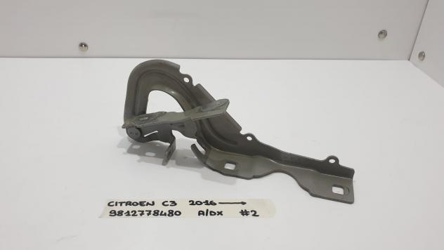 CERNIERA COFANO ANTERIORE DX CITROEN C3 Serie 9812778480 (16)