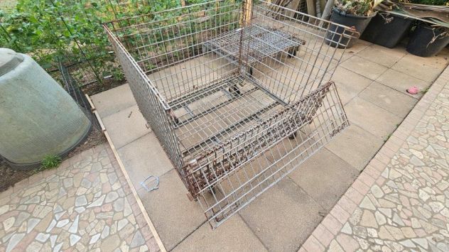 Carrello Gabbia Prof Pieghevole 115x80 industriale - Foto 10