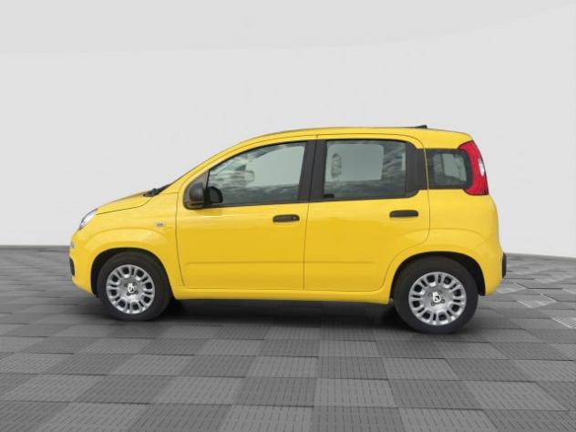 FIAT Panda Panda 1.0 FireFly S&S Hybrid rif. 23696464 - Foto 2