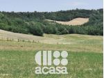 AZIENDA AGRICOLA