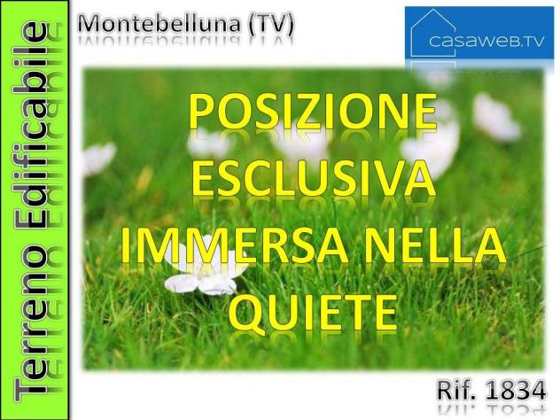 1834 - Terreno edif. 2500 mq a Montebelluna (TV)Rif. 1834 - Foto 5