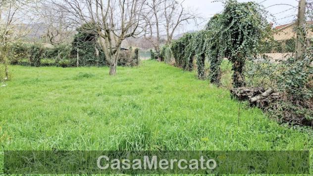 Agricolo in vendita a Rocca di Papa - Foto 7