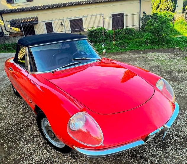 Alfa Romeo Spider 1600 OSSO DI SEPPIA - Foto 3