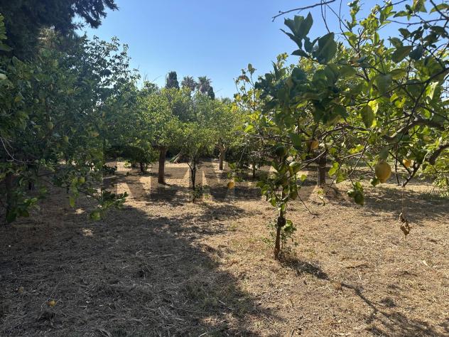 Terreno in vendita a Avola - Foto 10