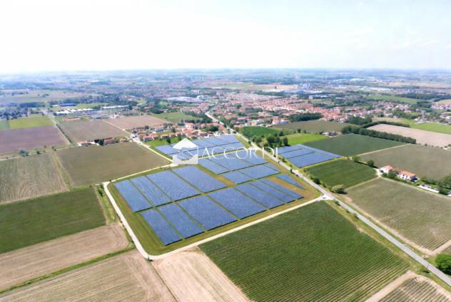 TERRENO AGRICOLO di 9010 mq (SAN MICHELE AL TAGLIAMENTO) rif. AS099 - Foto 14