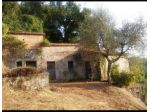 Casa singola in vendita a Falcinello - Sarzana 100 mq  Rif: 1123035