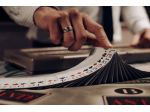 Casino Show